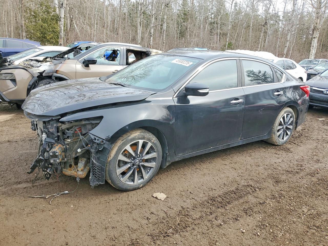 1N4AL3AP7GN312540 · 2016 NISSAN ALTIMA