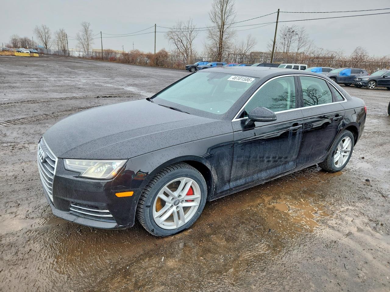 WAUANAF48HN068077 · 2017 AUDI A4