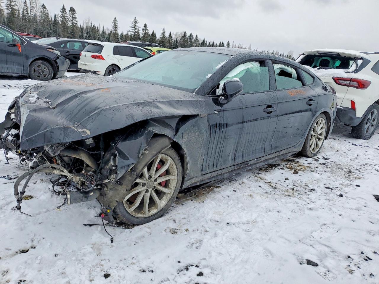 WAUC4CF52KA004101 · 2019 AUDI S5