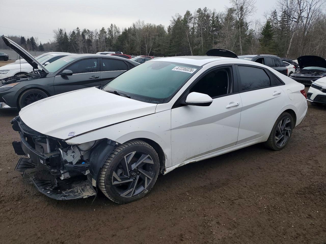 KMHLM4DG5RU759826 · 2024 HYUNDAI ELANTRA