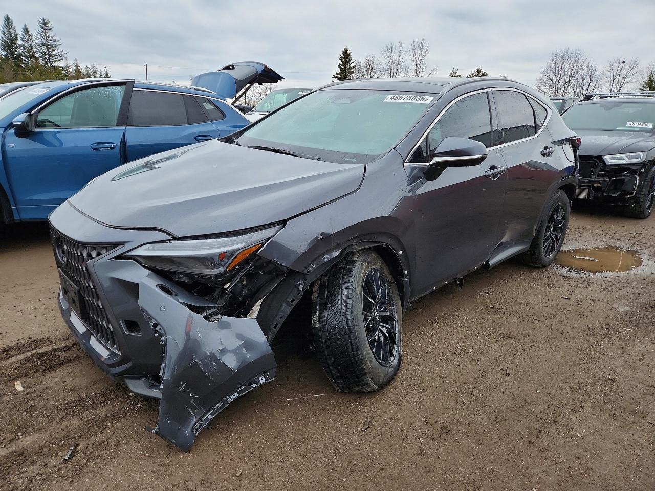 2T2GKCEZ9SC045718 · 2025 LEXUS NX 350H
