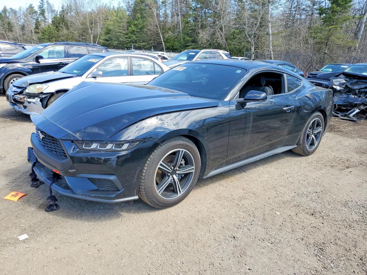 1FA6P8TH5R5134045 · 2024 FORD MUSTANG