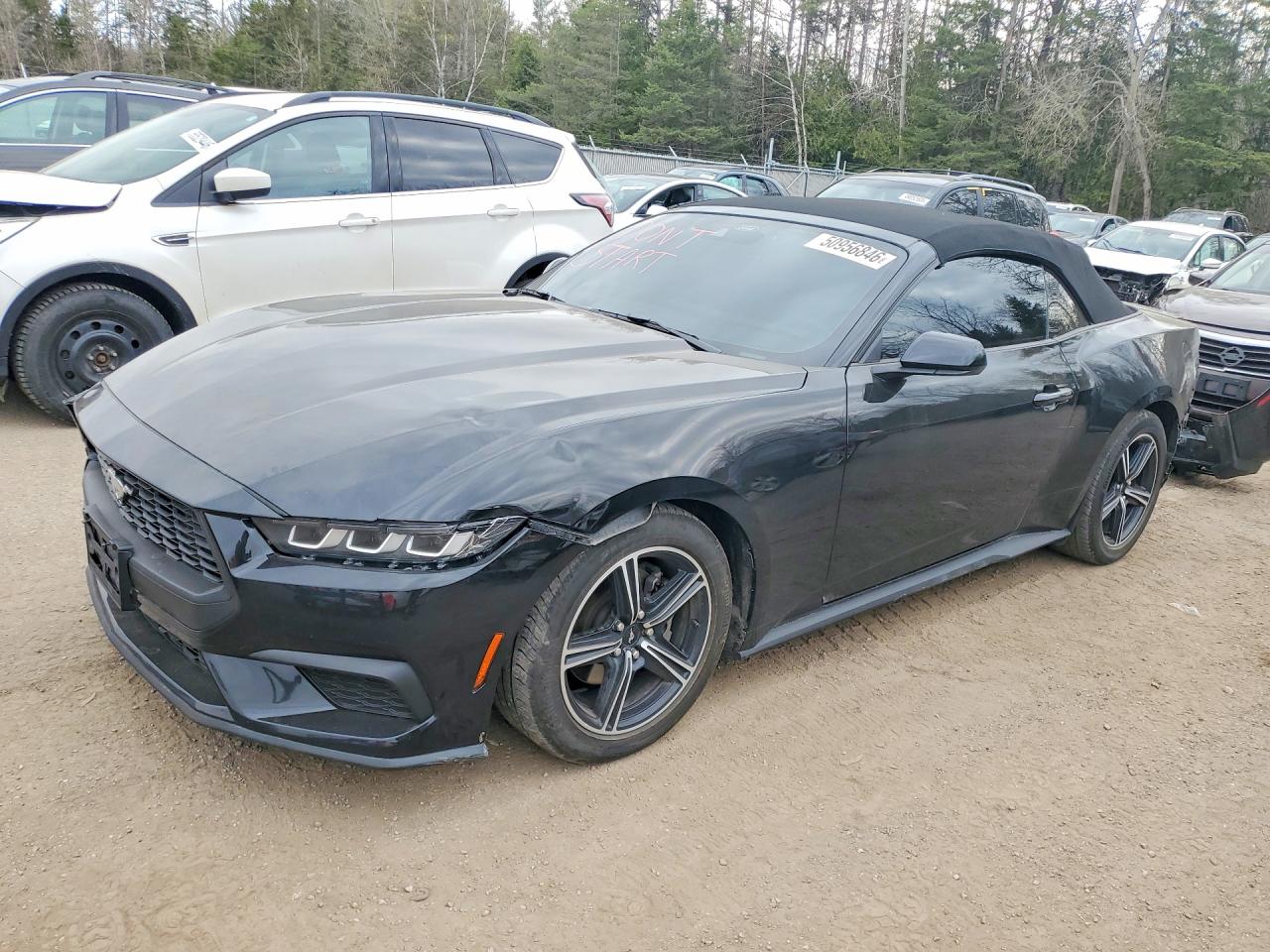 1FAGP8UH4R5127073 · 2024 FORD MUSTANG