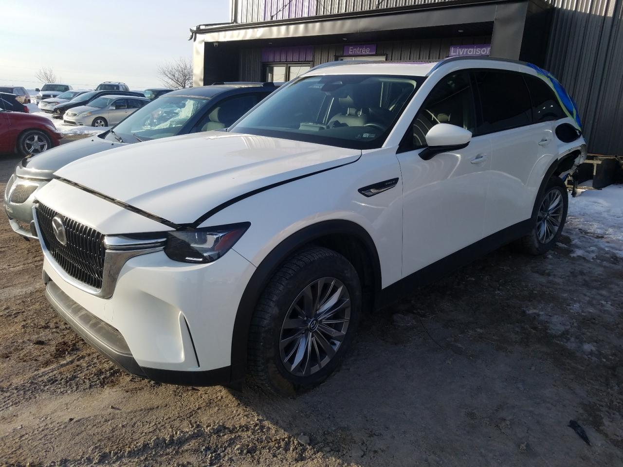 JM3KKCHA1R1141871 · 2024 MAZDA CX-90