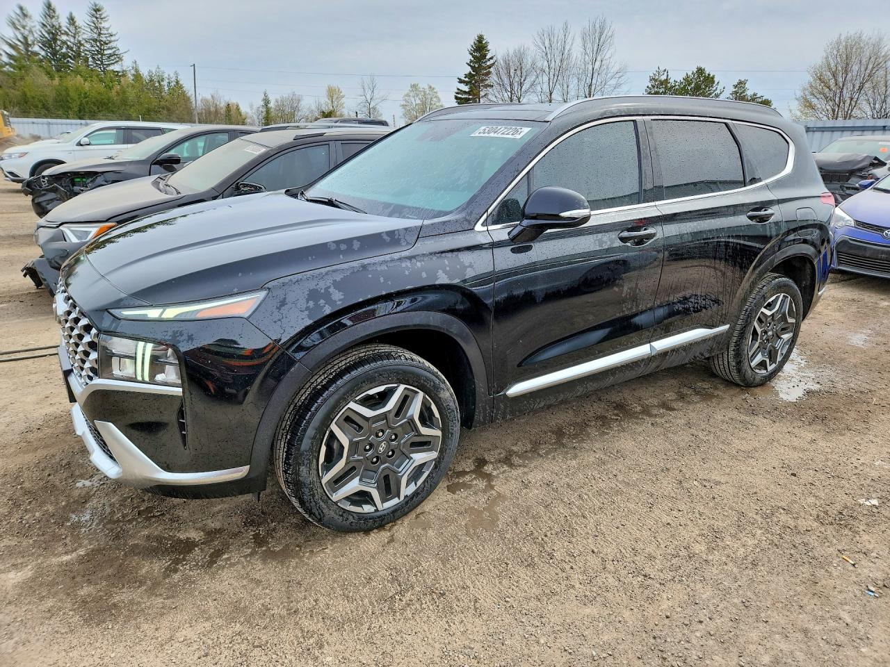 KM8S3DA10NU045434 · 2022 HYUNDAI SANTA FE