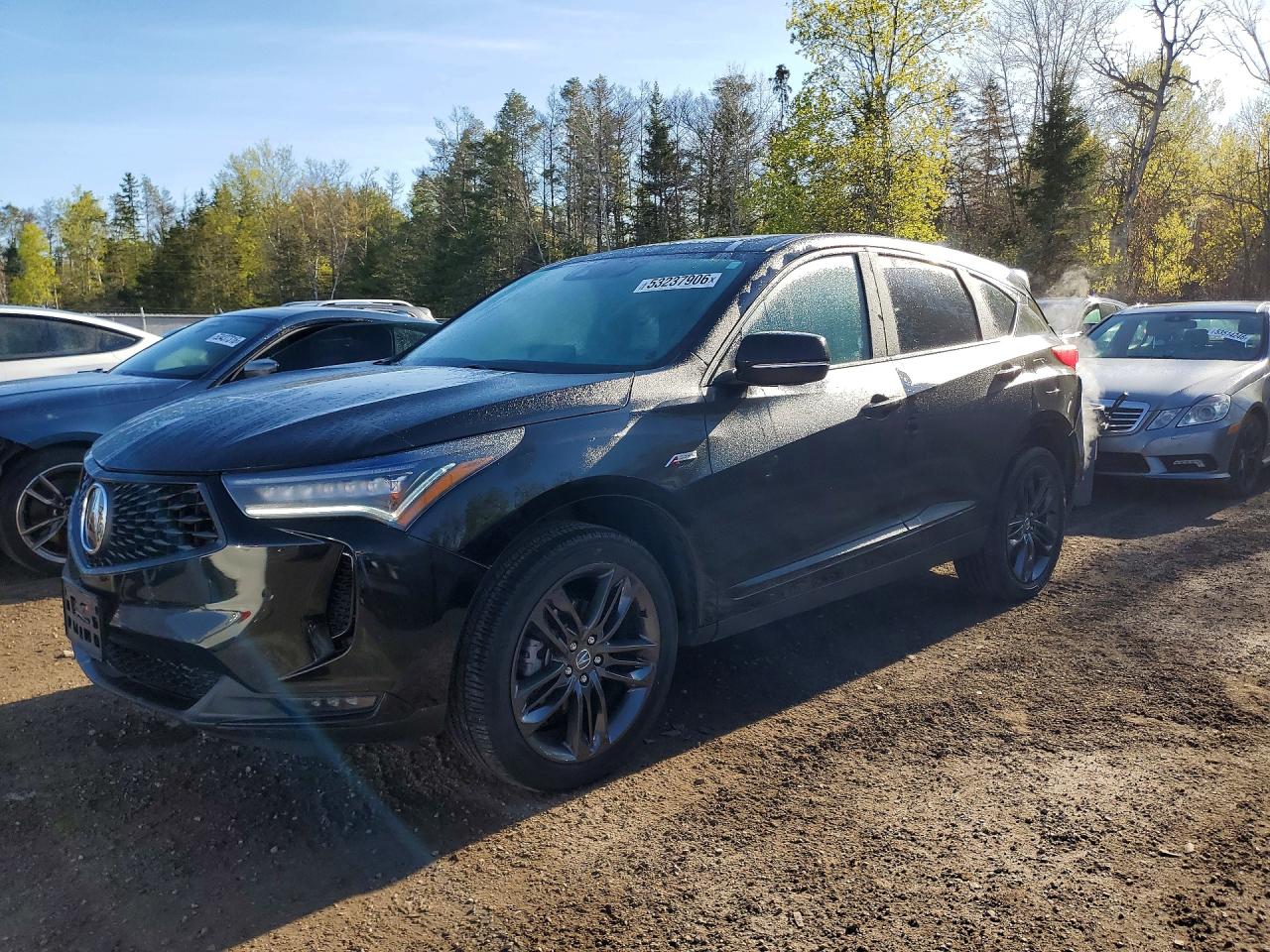 5J8TC2H63RL805917 · 2024 ACURA RDX