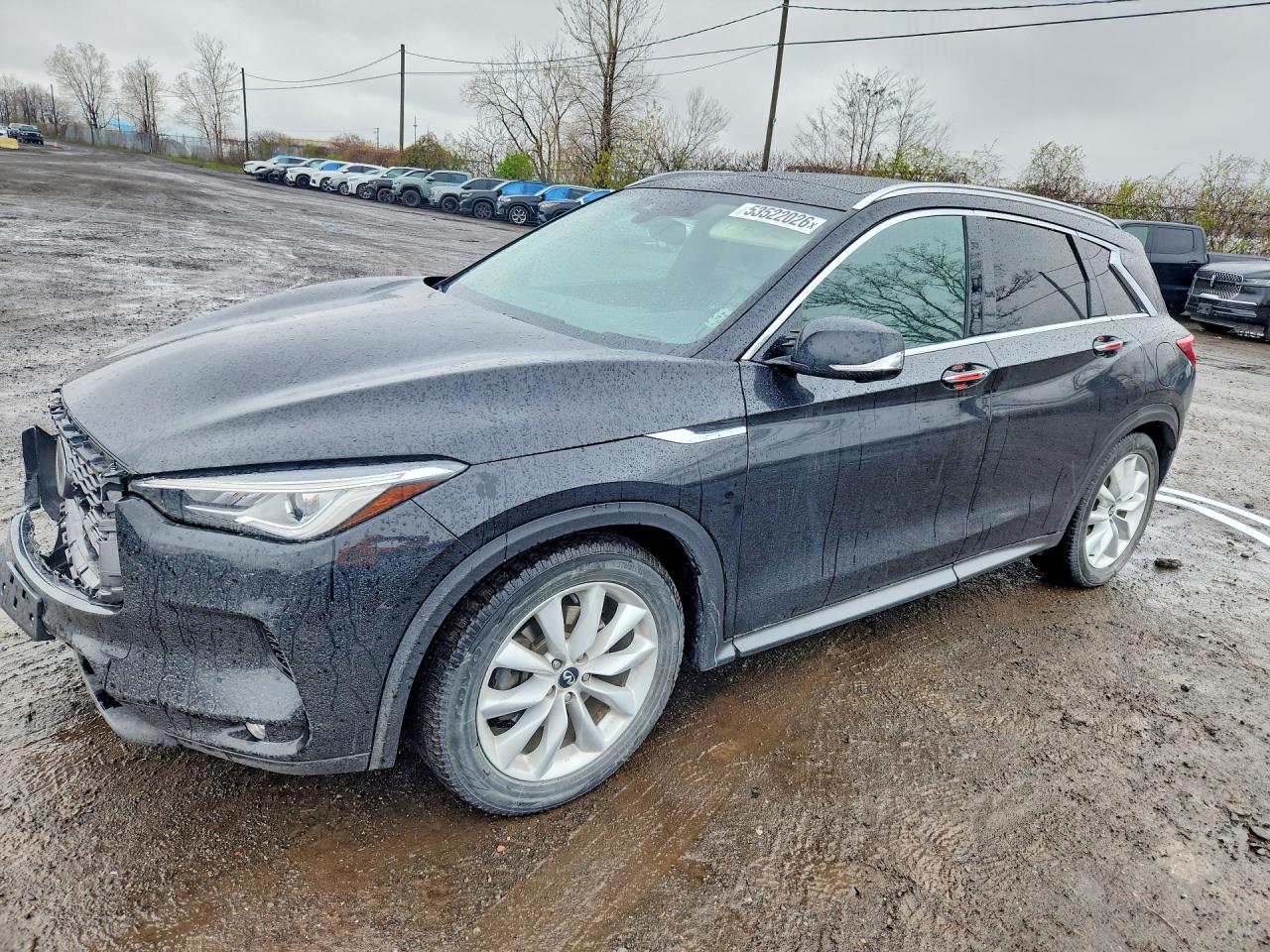 3PCAJ5M32KF113035 · 2019 INFINITI QX50