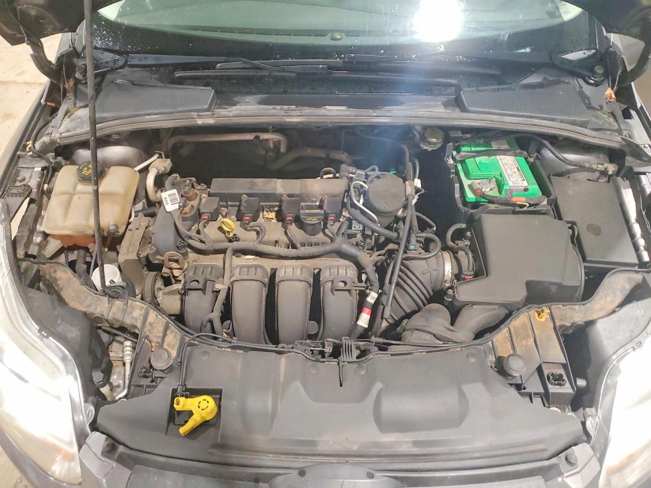 1FADP3E24EL376642 · 2014 FORD FOCUS · 11/13