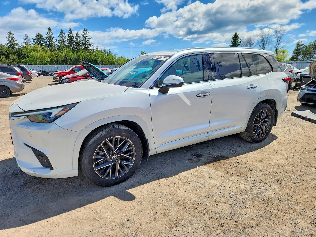 2024 LEXUS TX 350