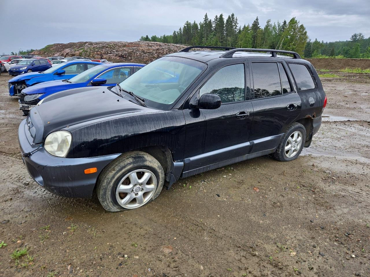 KM8SB13D25U900143 · 2005 HYUNDAI SANTA FE