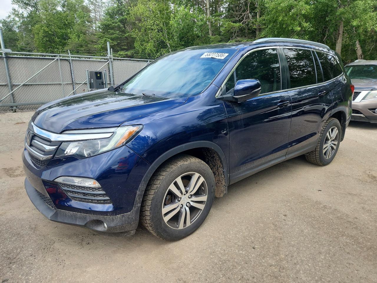5FNYF6H77HB504239 · 2017 HONDA PILOT