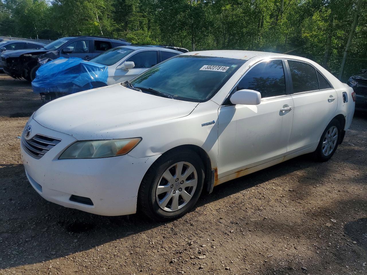 4T1BB46K38U060311 · 2008 TOYOTA CAMRY HYBRID