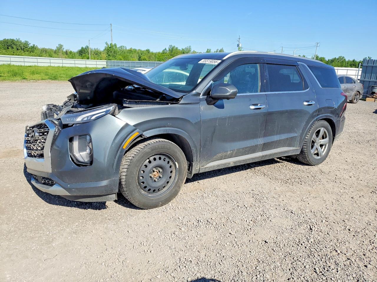 KM8R5DHE5LU040387 · 2020 HYUNDAI PALISADE