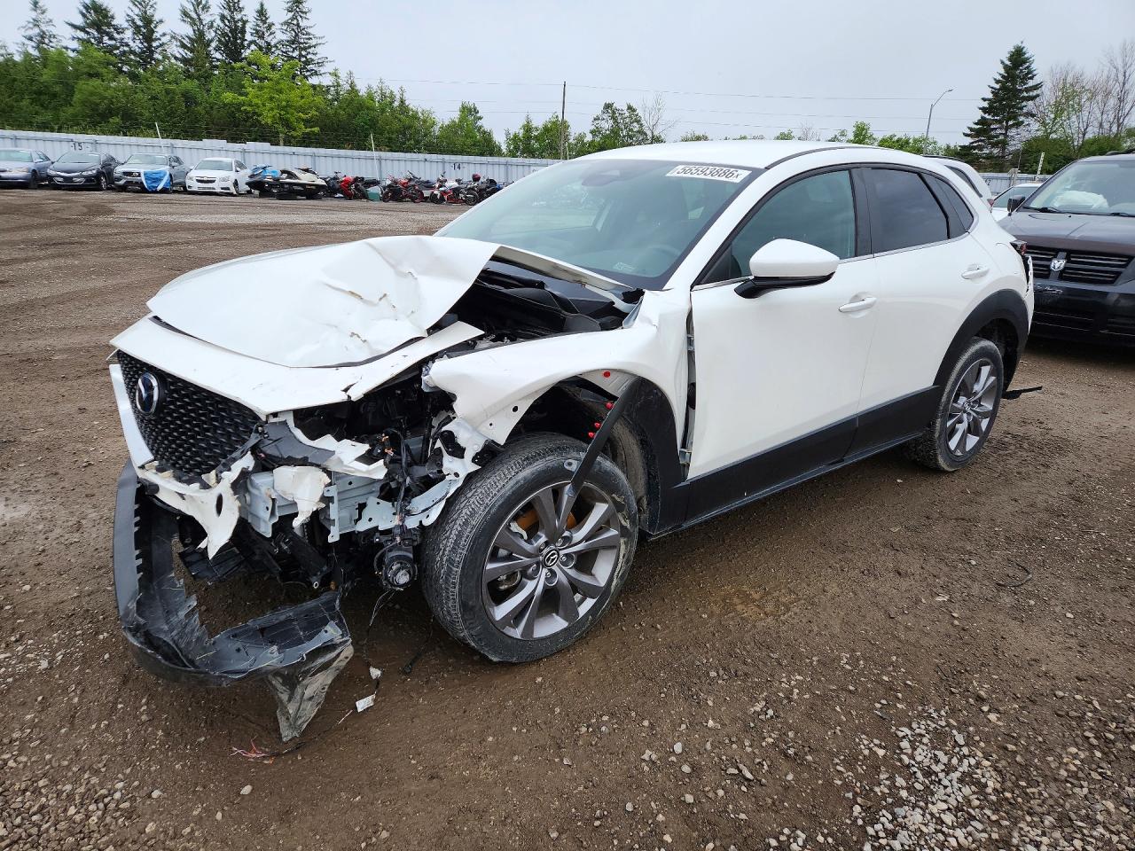 3MVDMBCM0RM605127 · 2024 MAZDA CX-30