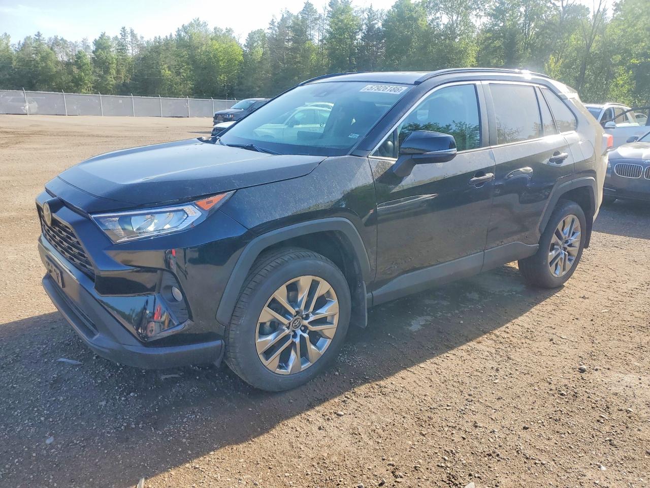 2T3R1RFV2KW026335 · 2019 TOYOTA RAV4