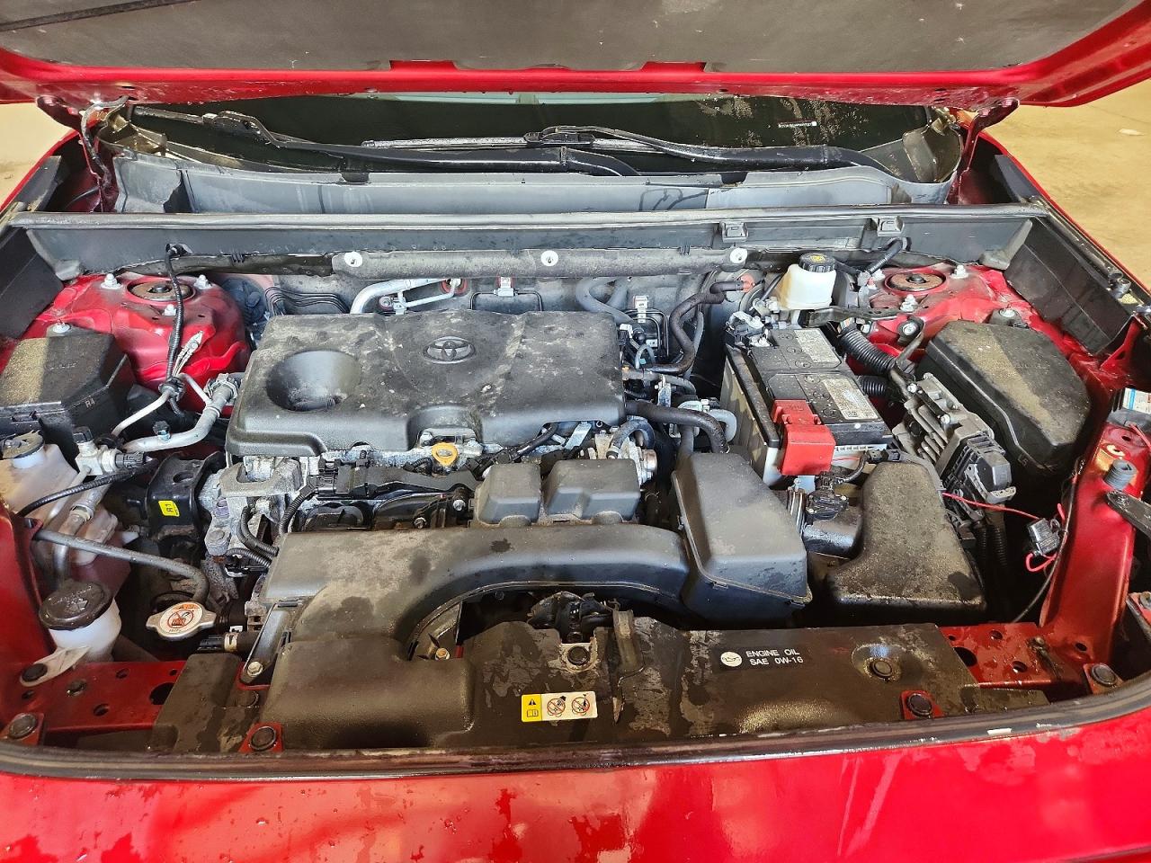 2T3R1RFV0PW351377 · 2023 TOYOTA RAV4 · 11/12