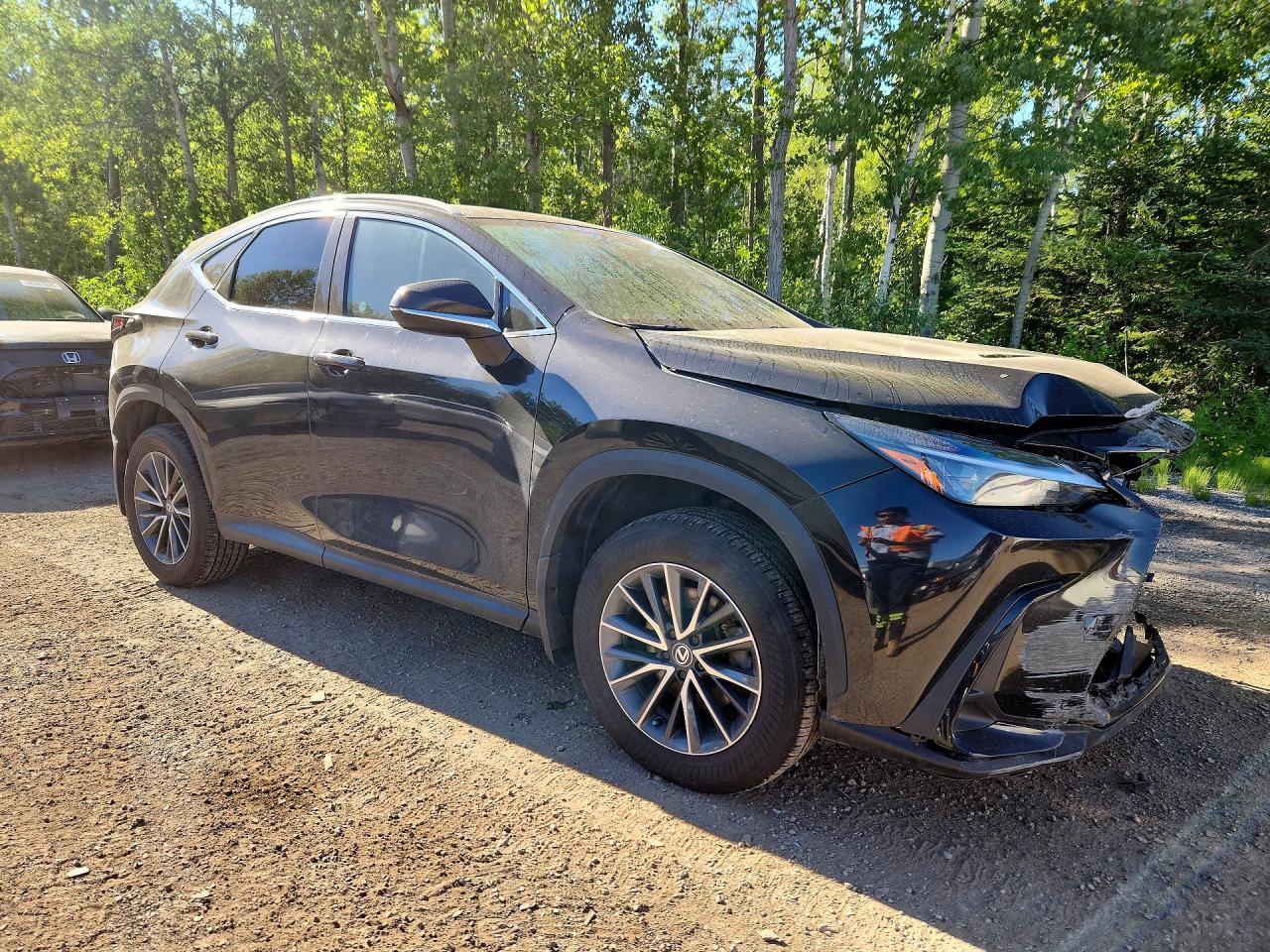 2T2GKCEZ0RC027389 · 2024 LEXUS NX 350H · 4/13