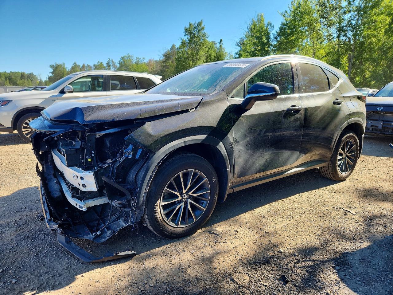 2T2GKCEZ0RC027389 · 2024 LEXUS NX 350H