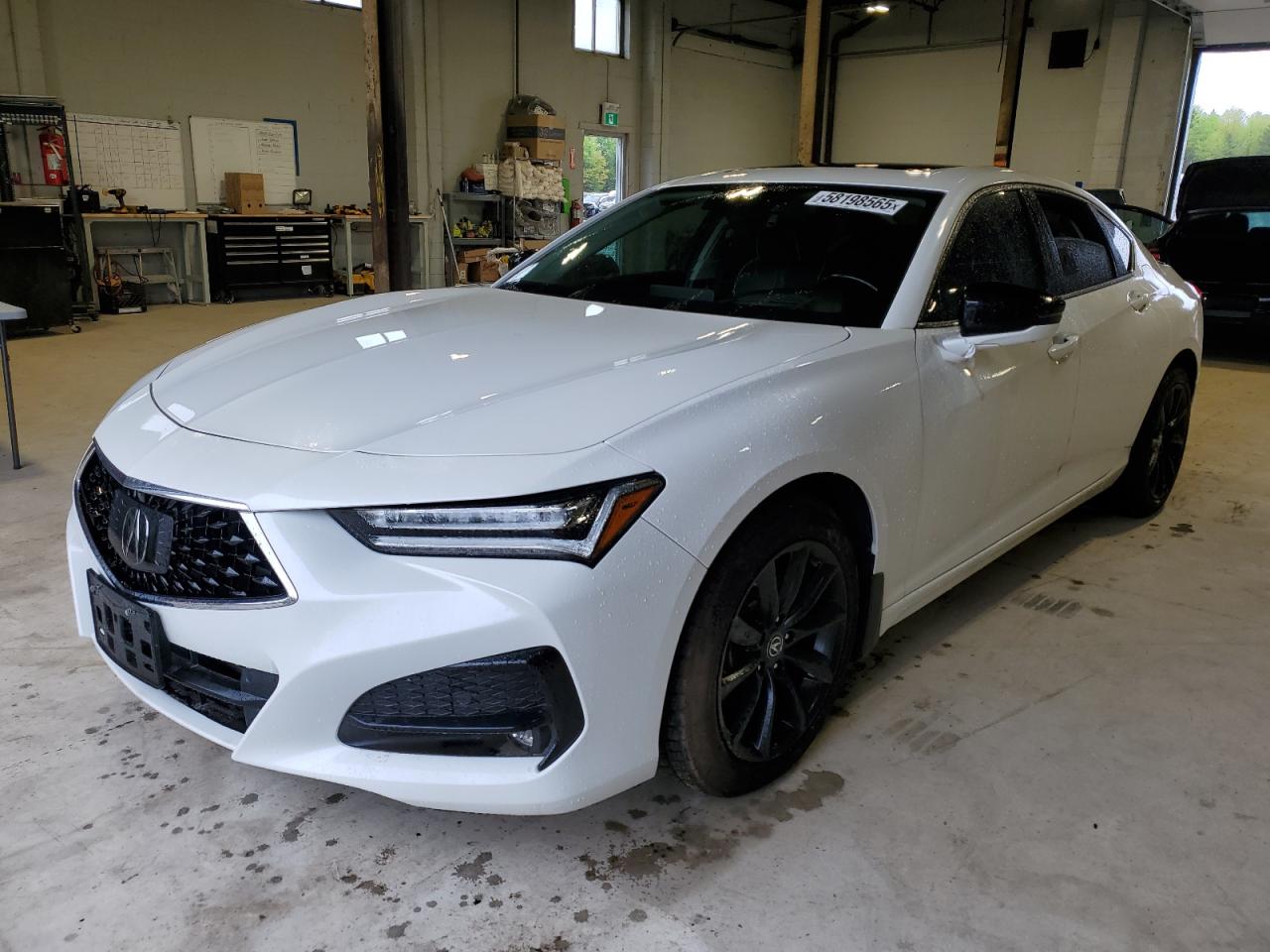 19UUB6F98MA****** · 2021 ACURA TLX