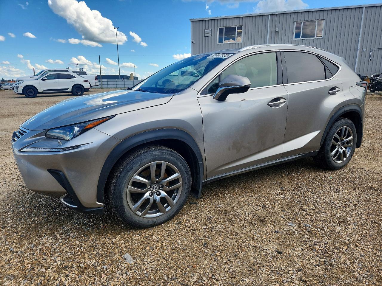 JTJBARBZ3J2163587 · 2018 LEXUS NX 300