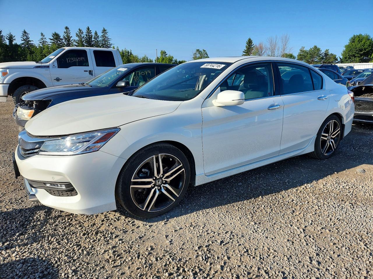 1HGCR2F09HA807713 · 2017 HONDA ACCORD