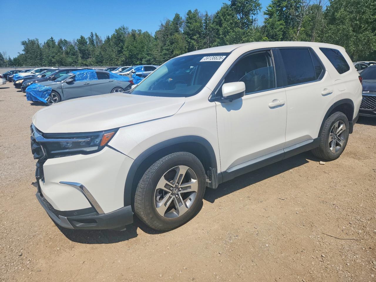 5FNYG1H46RB501940 · 2024 HONDA PILOT