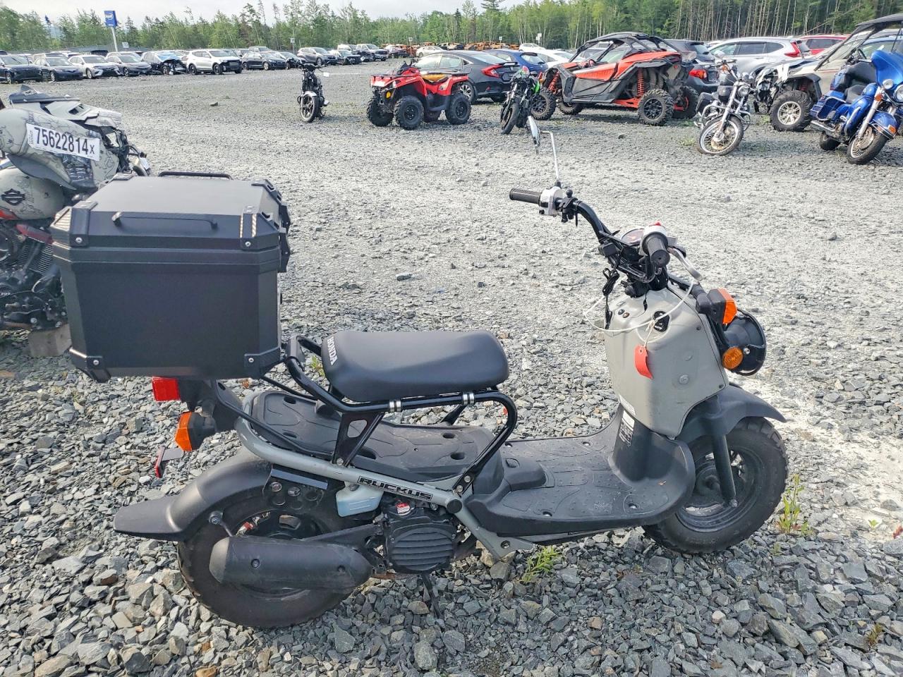 2023 HONDA NPS50
