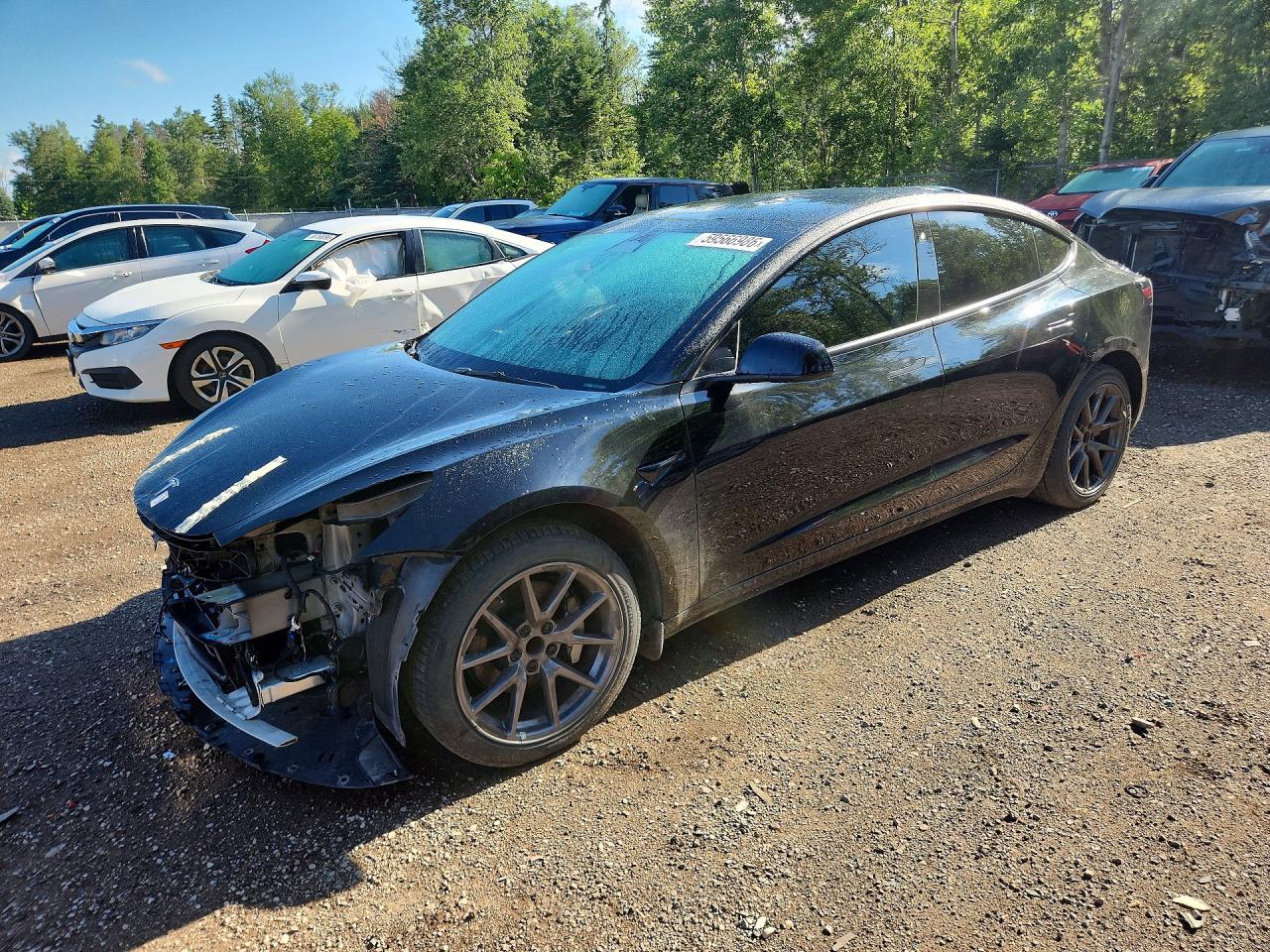 5YJ3E1EA0PF507093 · 2023 TESLA MODEL 3