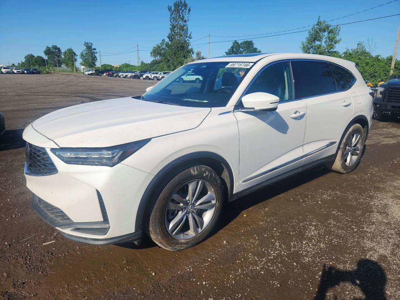 XJ8YE1H37SL****** · 2025 ACURA MDX