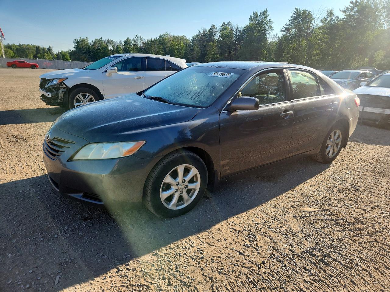 4T1BK46K47U043533 · 2007 TOYOTA CAMRY