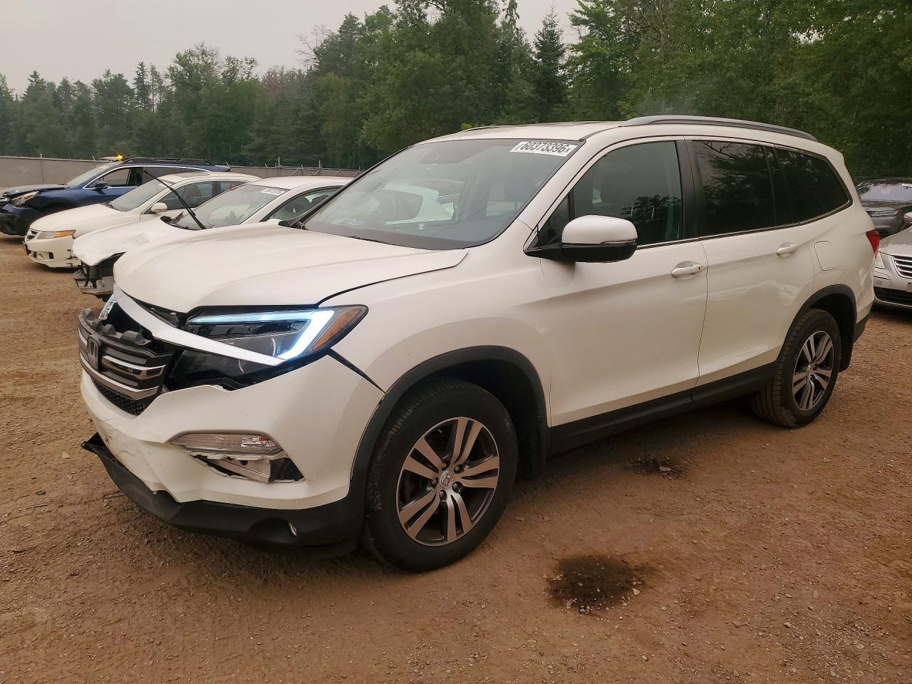 5FNYF6H86JB501511 · 2018 HONDA PILOT
