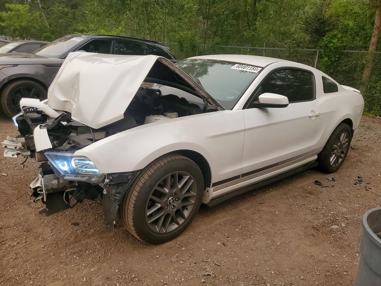 1ZVBP8AM2E5323400 · 2014 FORD MUSTANG