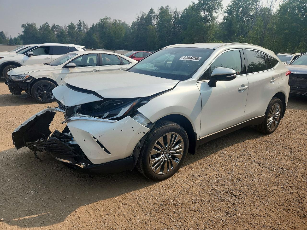 JTEAAAAH5RJ178100 · 2024 TOYOTA VENZA