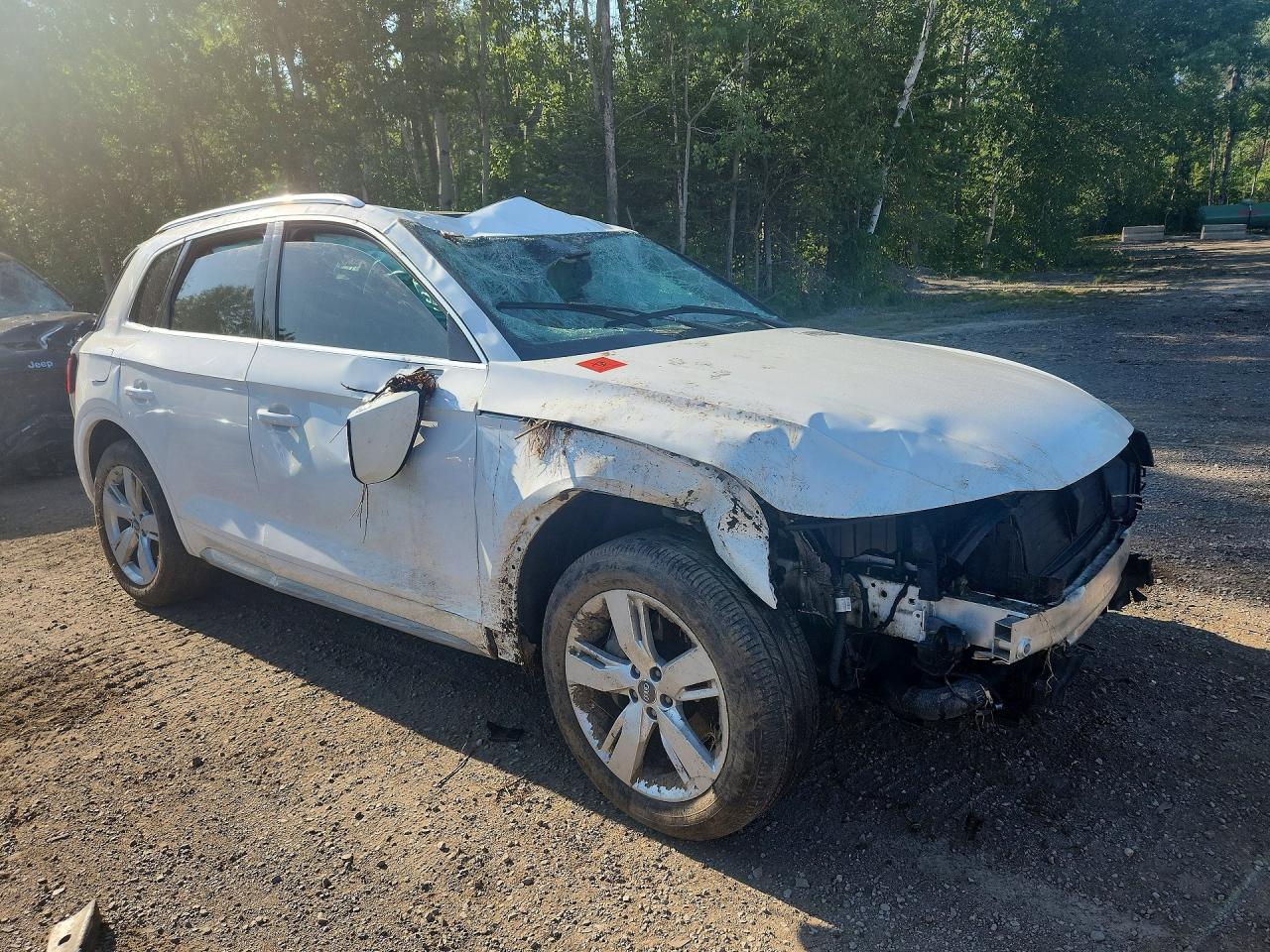 WA1CNAFY1K2045709 · 2019 AUDI Q5 · 4/13