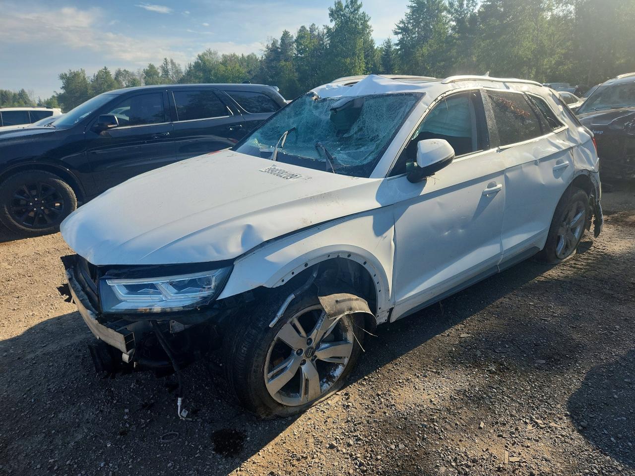 WA1CNAFY1K2045709 · 2019 AUDI Q5