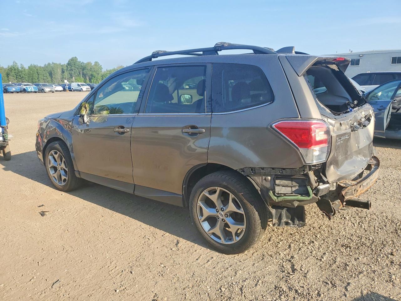 JF2SJESC7HH506062 · 2017 SUBARU FORESTER · 2/13