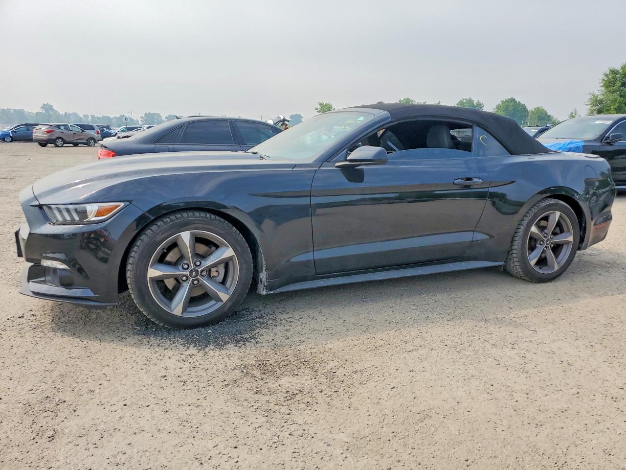 1FATP8EM8H5298904 · 2017 FORD MUSTANG