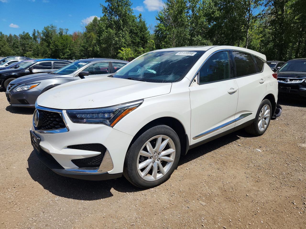 5J8TC2H51ML805897 · 2021 ACURA RDX