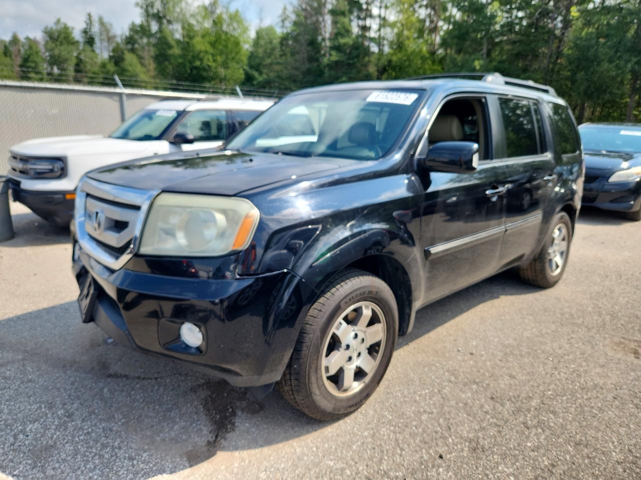 5FNYF4H96AB502798 · 2010 HONDA PILOT