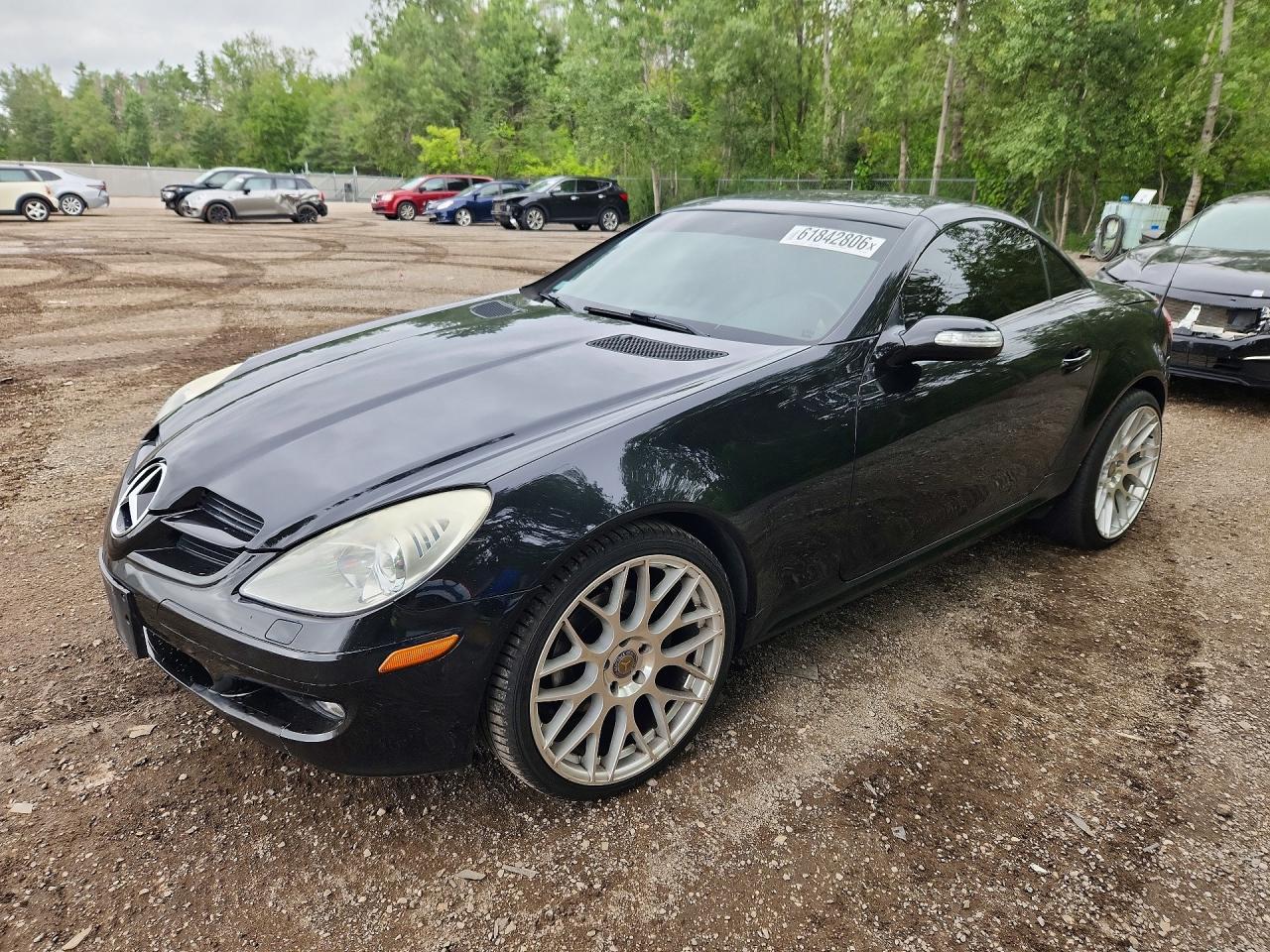 WDBWK54F96F126569 · 2006 MERCEDES-BENZ SLK