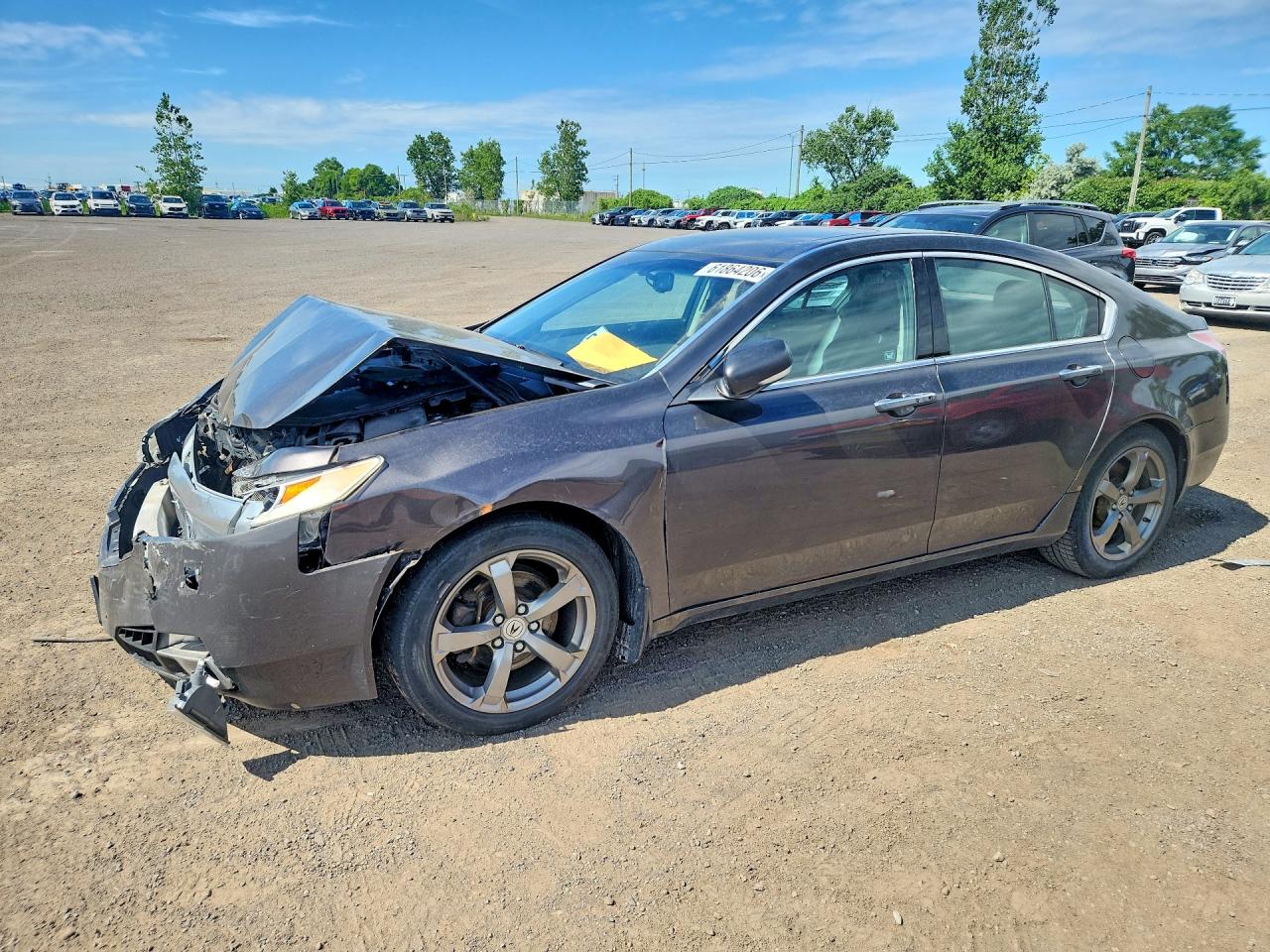19UUA9F54AA801260 · 2010 ACURA TL