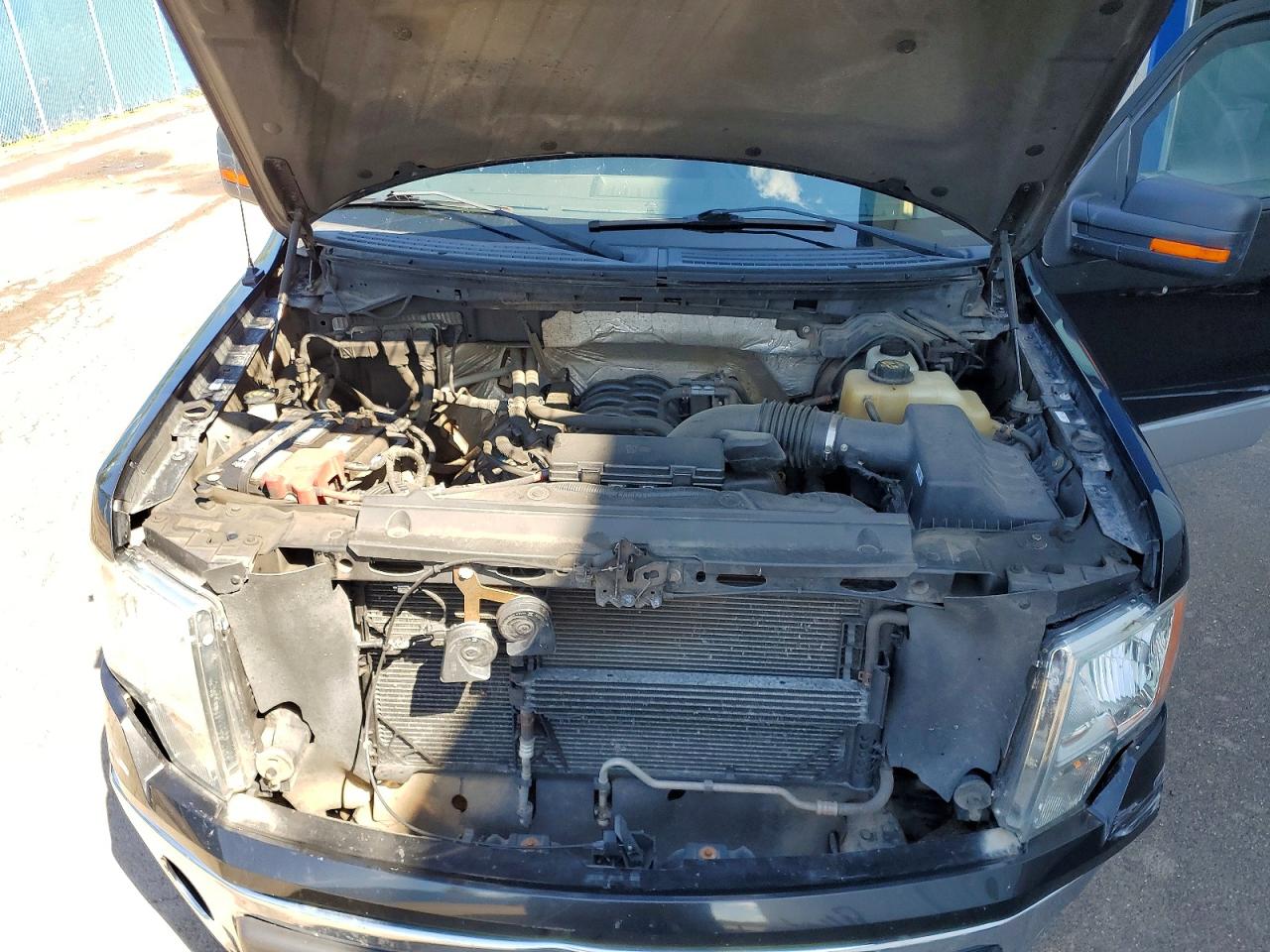 1FTFX1EFXDFA76126 · 2013 FORD F150 · 11/12