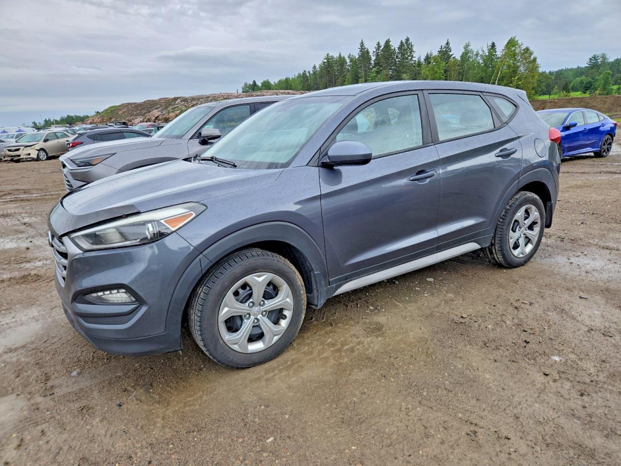 KM8J2CA44HU545006 · 2017 HYUNDAI TUCSON