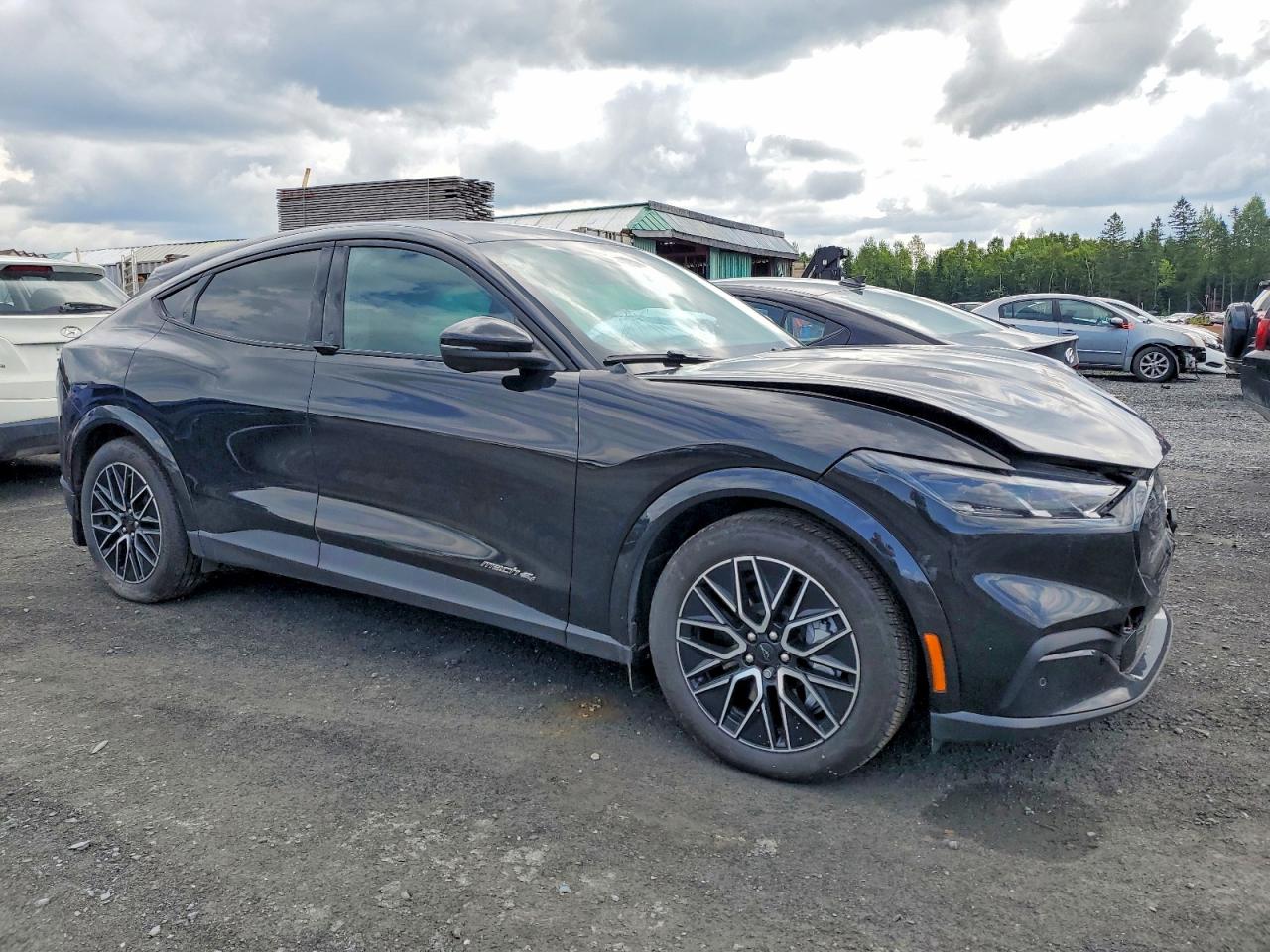 3FMTK3SU0SMA48991 · 2025 FORD MUSTANG MACH-E · 4/14