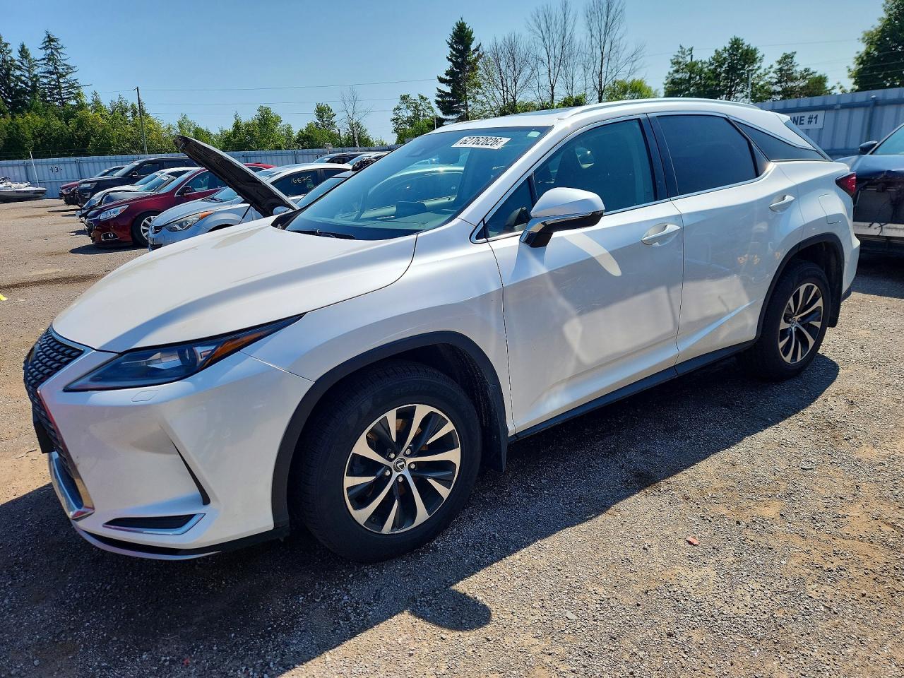 2T2HZMDAXLC250693 · 2020 LEXUS RX