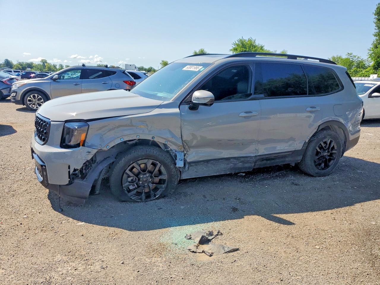 5XYP5DGC6SG582450 · 2025 KIA TELLURIDE