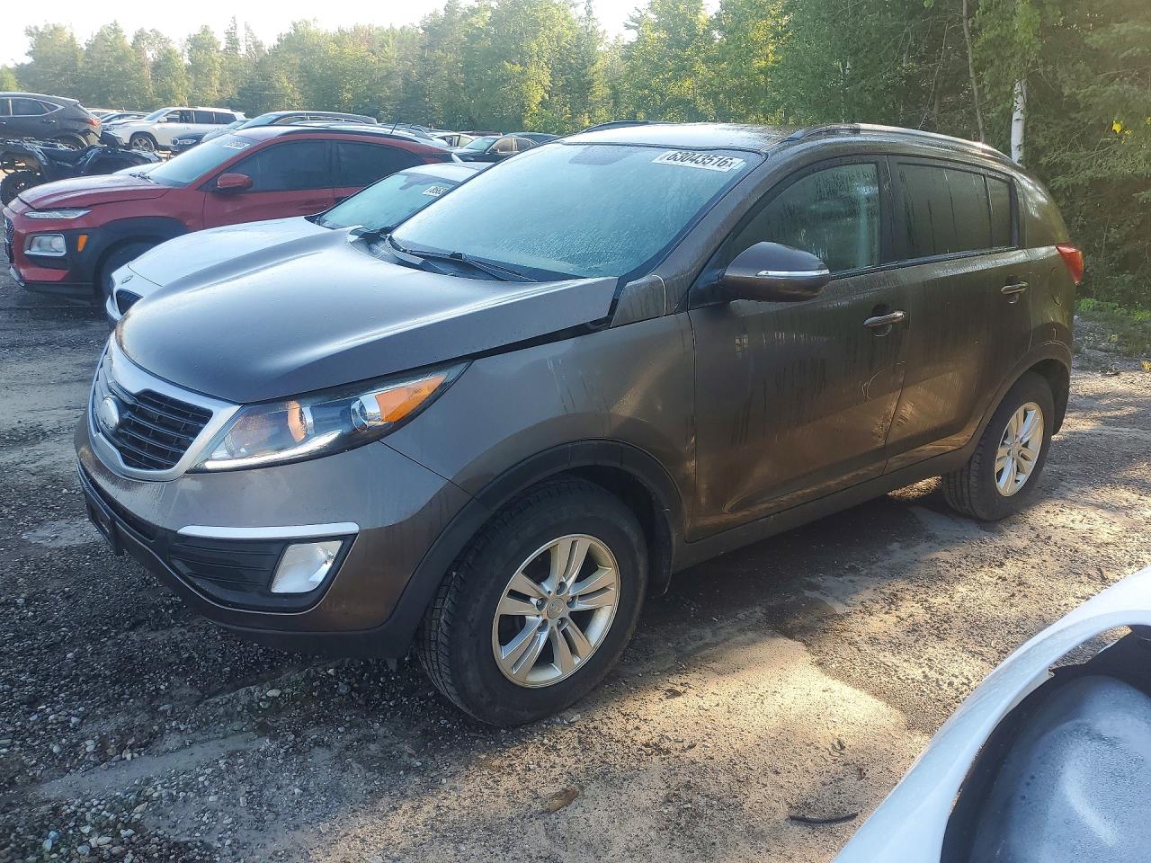 KNDPB3A25D7524803 · 2013 KIA SPORTAGE
