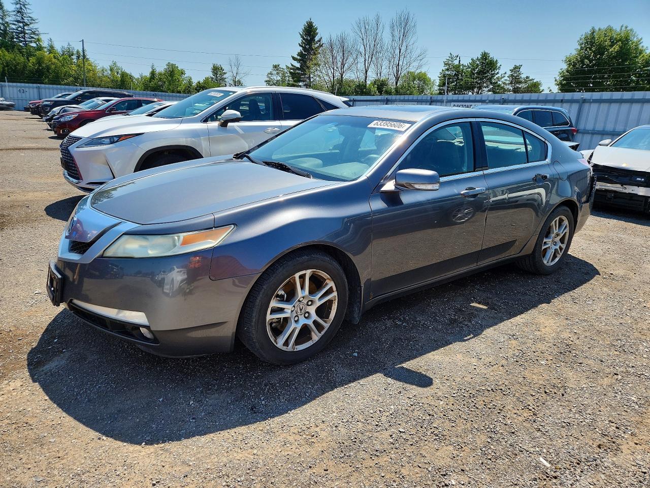 19UUA862X9A800481 · 2009 ACURA TL