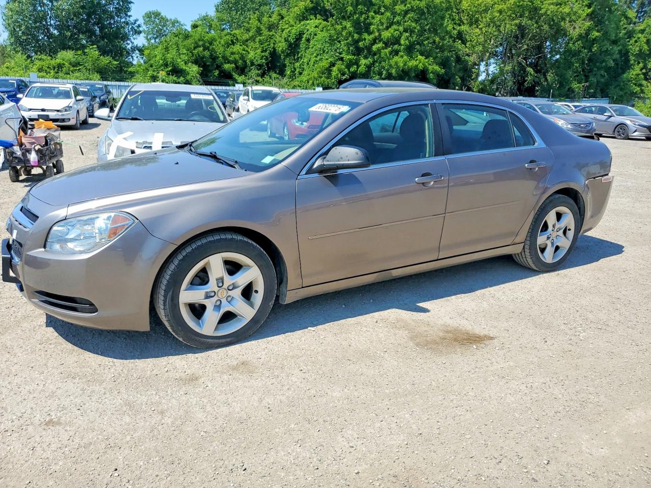 1G1ZB5EU7BF111521 · 2011 CHEVROLET MALIBU