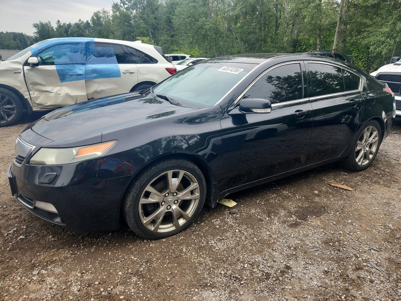 19UUA9F78DA800988 · 2013 ACURA TL